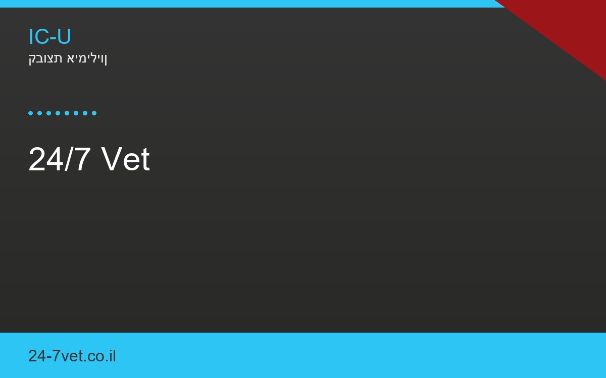 24/7 Vet